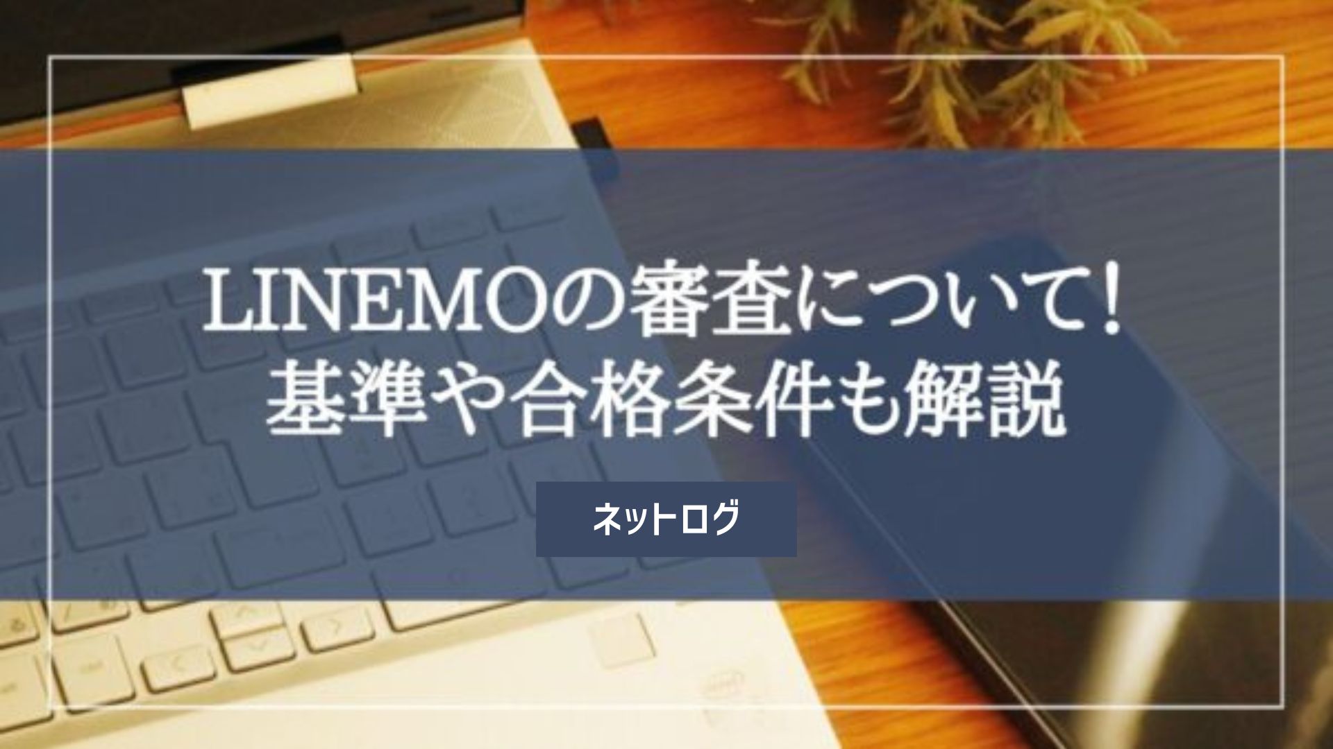 LINEMO 審査